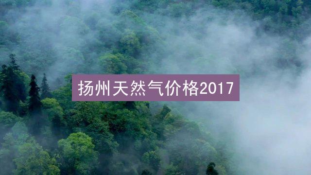 扬州天然气价格2017