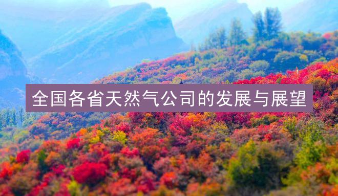 全国各省天然气公司的发展与展望