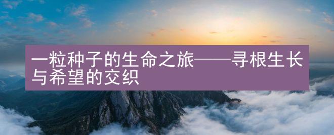 一粒种子的生命之旅——寻根生长与希望的交织