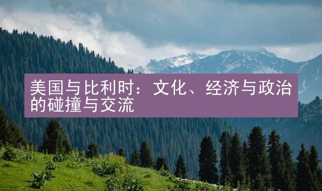 美国与比利时：文化、经济与政治的碰撞与交流