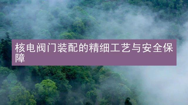 核电阀门装配的精细工艺与安全保障