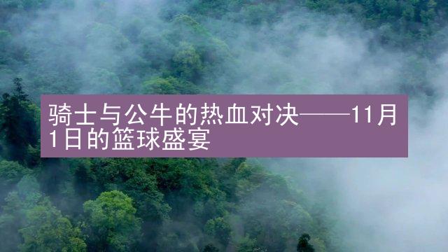 骑士与公牛的热血对决——11月1日的篮球盛宴