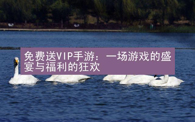 免费送VIP手游：一场游戏的盛宴与福利的狂欢