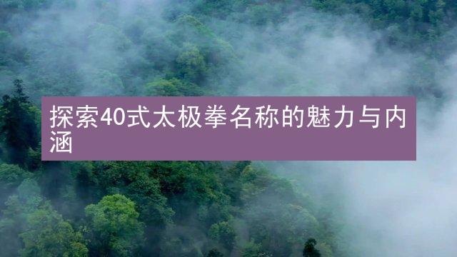 探索40式太极拳名称的魅力与内涵