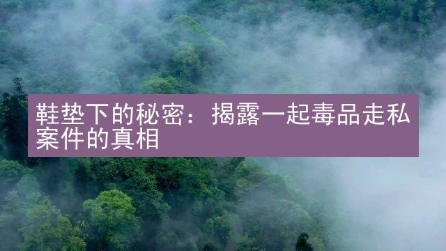 鞋垫下的秘密：揭露一起毒品走私案件的真相