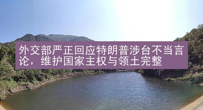 外交部严正回应特朗普涉台不当言论，维护国家主权与领土完整