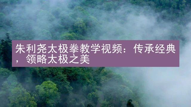 朱利尧太极拳教学视频：传承经典，领略太极之美