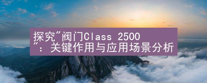 探究"阀门Class 2500"：关键作用与应用场景分析