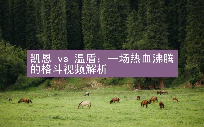 凯恩 vs 温盾：一场热血沸腾的格斗视频解析