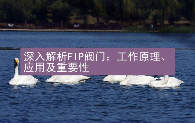 深入解析FIP阀门：工作原理、应用及重要性