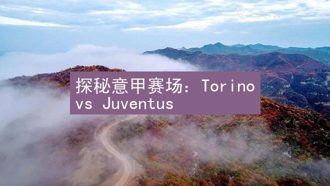 探秘意甲赛场：Torino vs Juventus