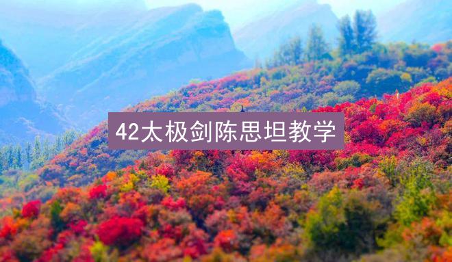 42太极剑陈思坦教学