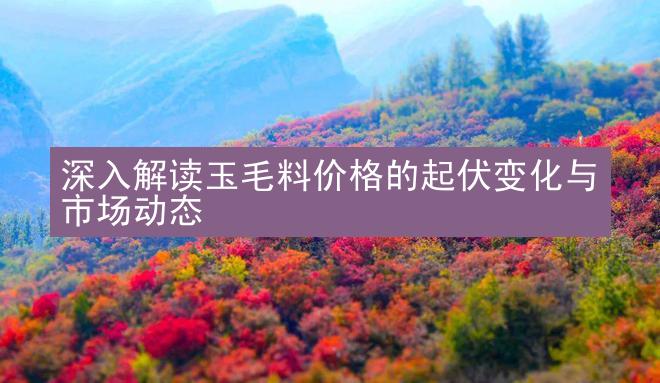 深入解读玉毛料价格的起伏变化与市场动态