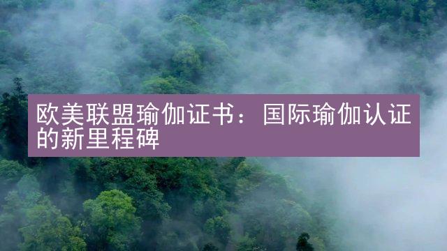 欧美联盟瑜伽证书：国际瑜伽认证的新里程碑