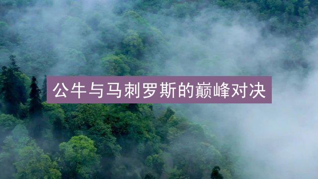 公牛与马刺罗斯的巅峰对决