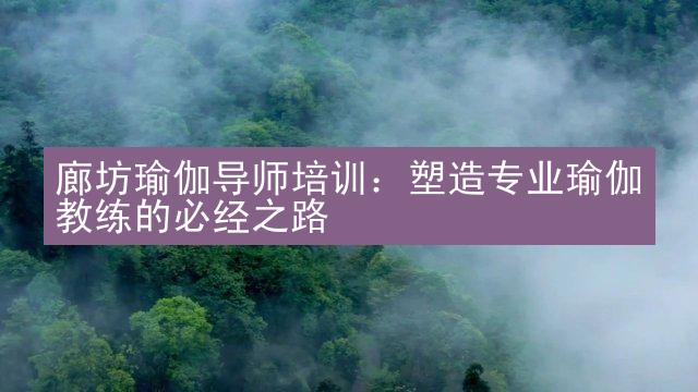 廊坊瑜伽导师培训：塑造专业瑜伽教练的必经之路