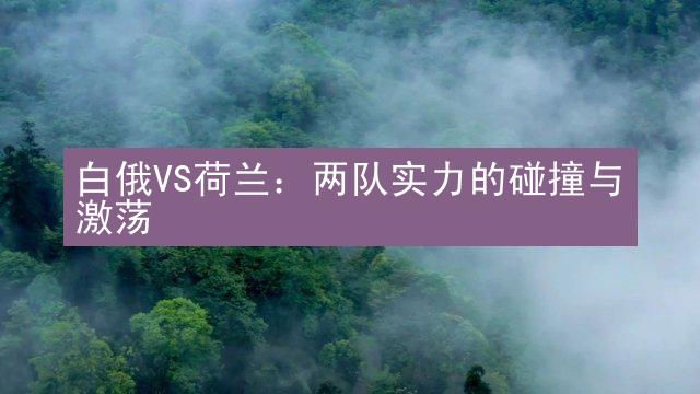 白俄VS荷兰：两队实力的碰撞与激荡