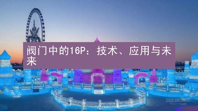 阀门中的16P：技术、应用与未来