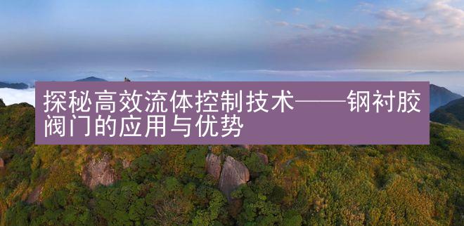 探秘高效流体控制技术——钢衬胶阀门的应用与优势