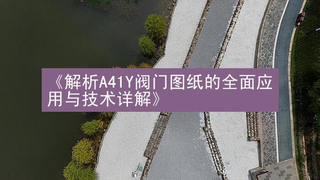 《解析A41Y阀门图纸的全面应用与技术详解》