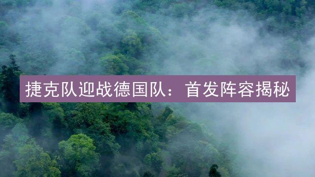 捷克队迎战德国队：首发阵容揭秘