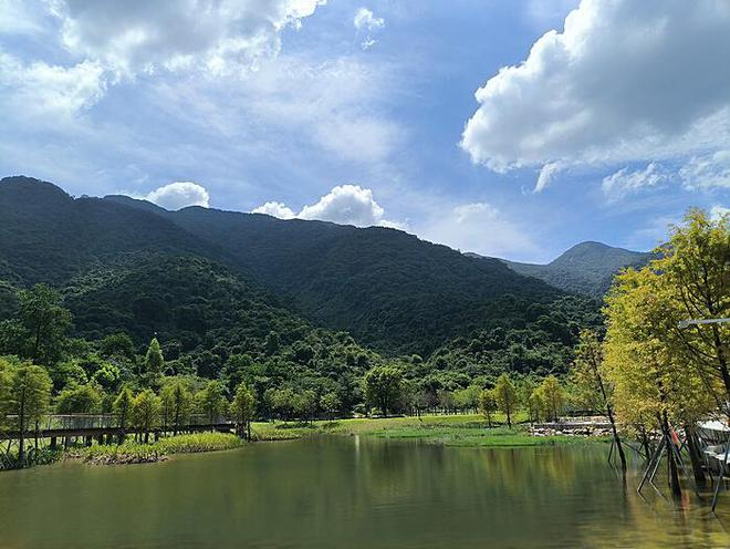 垃圾桶与地沟油：回锅之谜